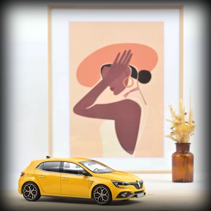 Laad de afbeelding in de Gallery-viewer, Renault Megane R.S. Trophy 2019 NOREV 1:18
