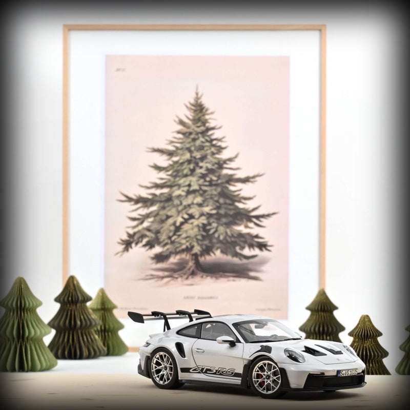 Laad de afbeelding in de Gallery-viewer, Porsche 911 GT3 RS 2022 NOREV 1:18
