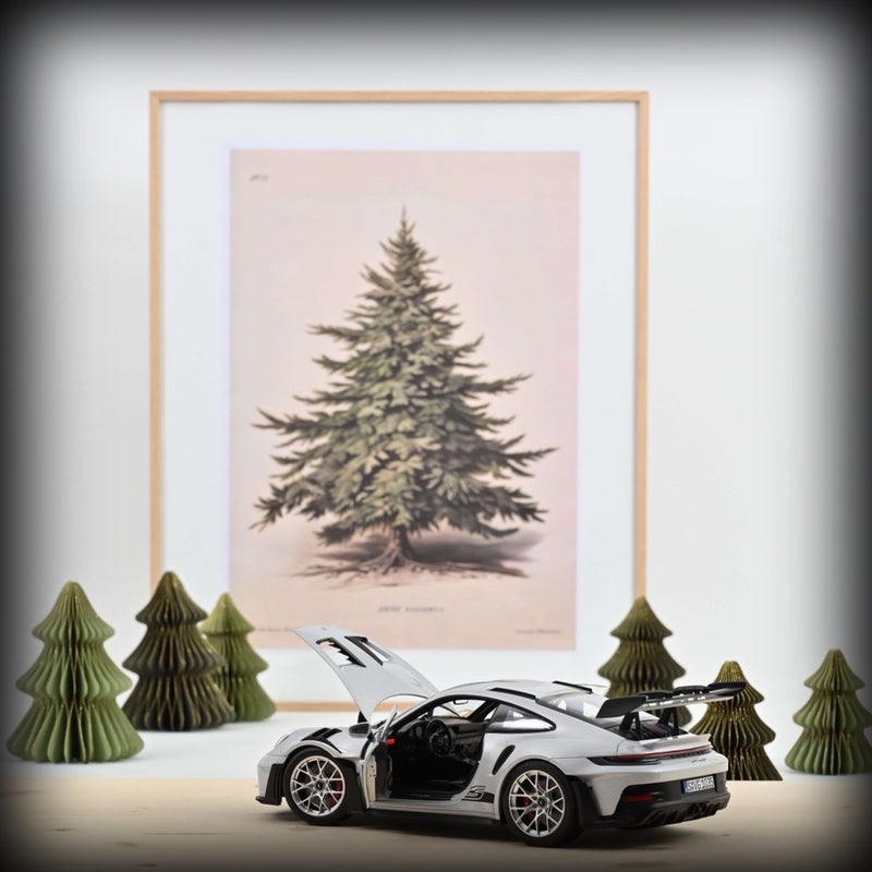 Chargez l&#39;image dans la visionneuse de la galerie, Porsche 911 GT3 RS 2022 NOREV 1:18

