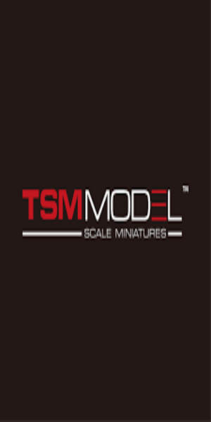 TSM Model