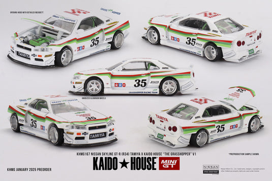 Nissan SKYLINE GT-R (R34) X TAMIYA 