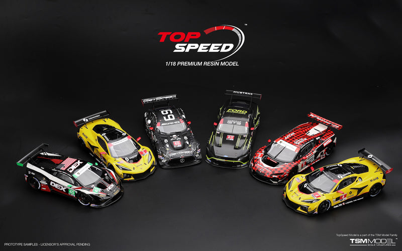 Chargez l'image dans la visionneuse de la galerie, MERCEDES-BENZ AMG GT3 #69 GETSPEED DAYTONA 24 HRS 2026 TOP SPEED 1:18
