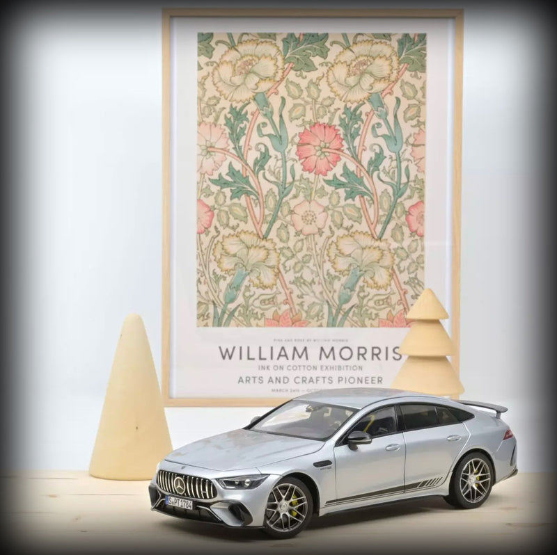 Laad de afbeelding in de Gallery-viewer, Mercedes-AMG GT 63 4MATIC 2021 NOREV 1:18
